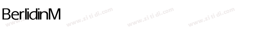 Berlidin Medium字体转换
